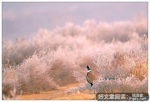 昨天，今日