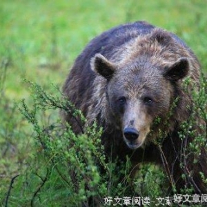 适合自己的，就是最好的