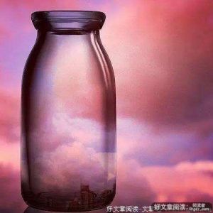 一个空瓶（此生必读）