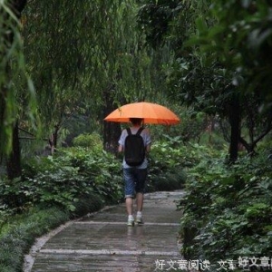 《雨中漫步》