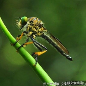 习惯与距离