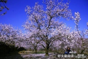 那个小山村