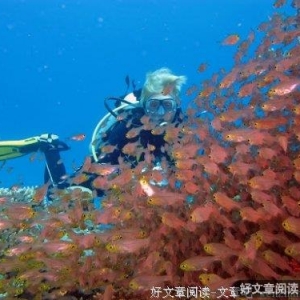 《冒菜是廉价的，但爱情不是》