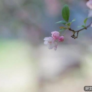 为你，我一直都在