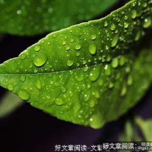 听见下雨的声音