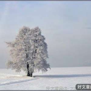 领悟