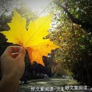 人生感悟：路