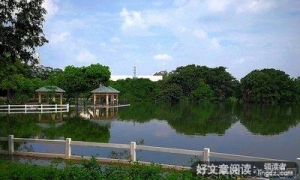 【岭南师范学院】三下乡|向阳心得：别了沙洲