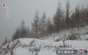 你那里下雪了吗