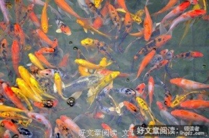 刹那便是永恒