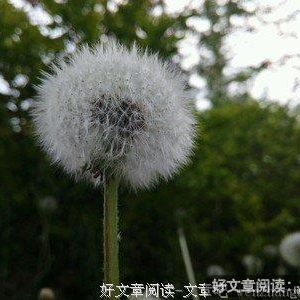 此去经年，繁华陌路