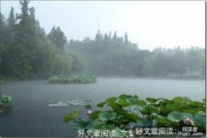 听雨