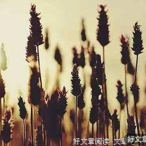 最贵的三种朋友，你一定要明白