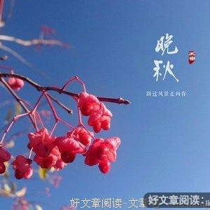 时光呓语，暖香岁月