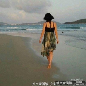 为了玫瑰，给刺浇水