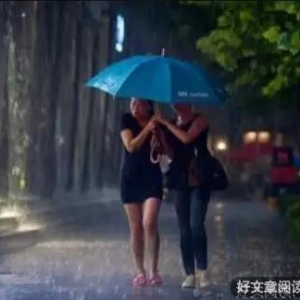 年度最佳故事：雨伞