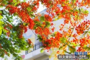 【岭南师范学院】三下乡|向阳心得：离别时刻