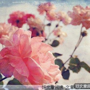 忘记你不容易