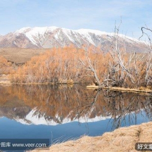 《死亡区域》读后感摘抄