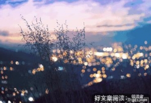 【夜读】你也许不幸运，但可以很努力