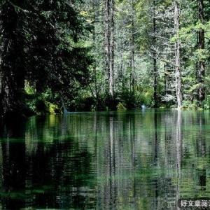 《雨必将落下》读后感10篇