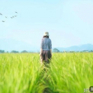 人生最顶级的坚持：读书，早睡，赚钱