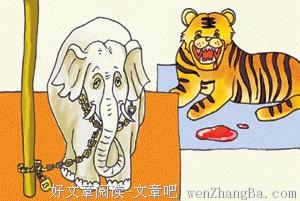 习惯与自然