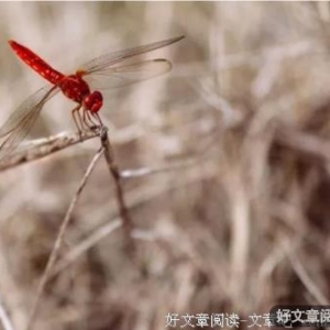 幸亏没升正局