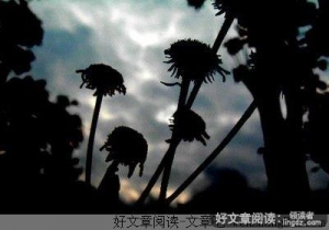 帮父亲买下梦想的孩子