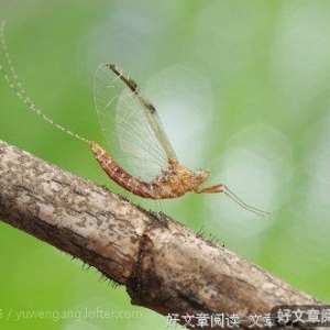 用力活着才有分量，向前奔跑才能抵达