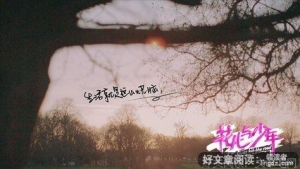 《梦回少年时》经典观后感1000字