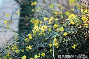 花满看自有成秋句子