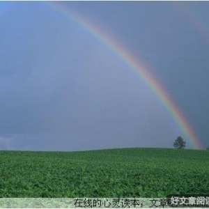 风雨过后你会看到彩虹