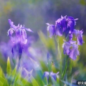 历经风雨，人间值得