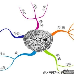 教育应注重培养学生的发散思维