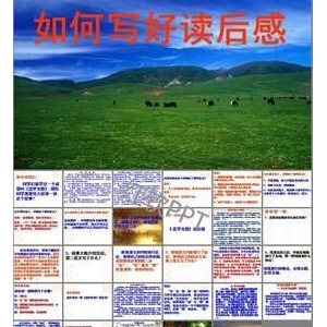 《弥天记1》读后感1000字