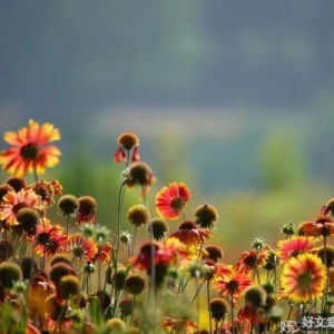 心有明灯，人生处处皆风景