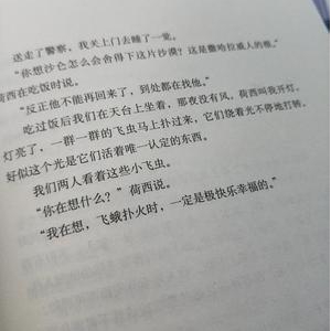 关于三毛的句子