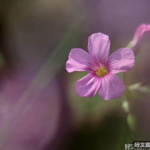 一个家庭有静气，人有福气