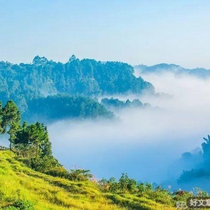 坦然面对人生的风雨（深度好文）