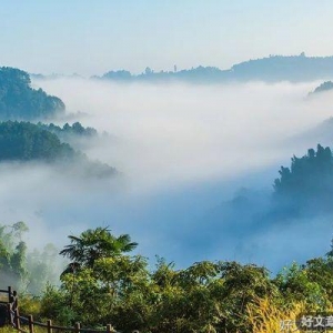 解脱自己的心，你就不会感到累