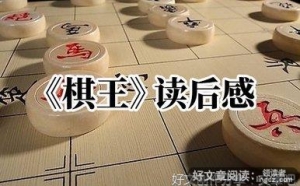 重读20世纪中国小说读后感1000字