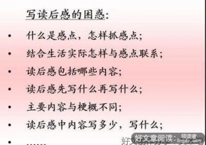 这就是伦理学读后感100字