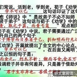 师说名句欣赏