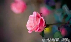 《不是所有的相念都有结果》的句子