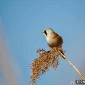 钱锺书的考题