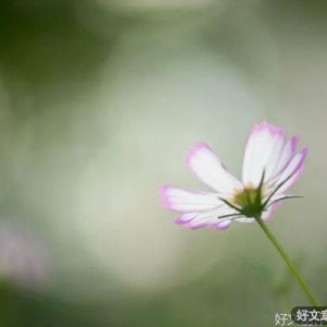 这一生，风雨兼程，就是为了遇见最好的自己