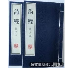 穿越千年，惊艳如初 :《诗经》里的动植物读后感摘抄