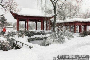 《雪意和五点钟》读后感精选