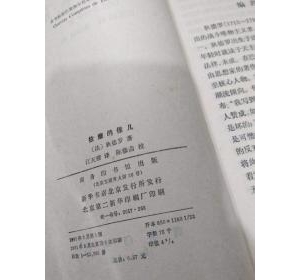 《拉摩的侄儿》读后感摘抄